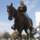 Image for article titled Woman Rides Horse To DMV To Get Driver's License Back